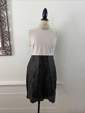 Bailey 44 Black and White Sleeveless Mesh Fit-and-Flare Dress